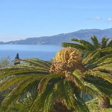 La Seta E Il Mare In *