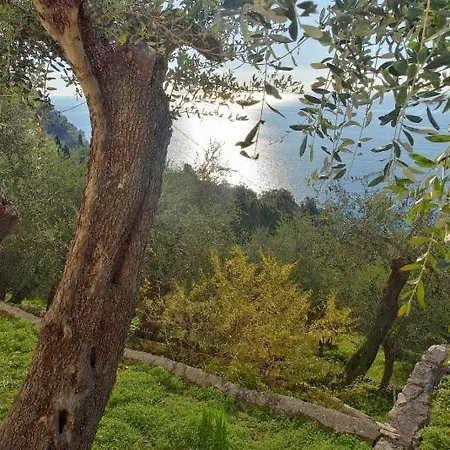 La Seta E Il Mare In * Zoagli
